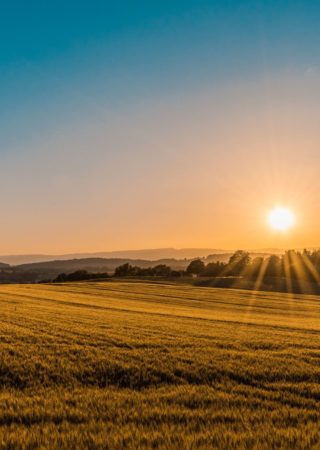 federico-respini-314377-unsplash